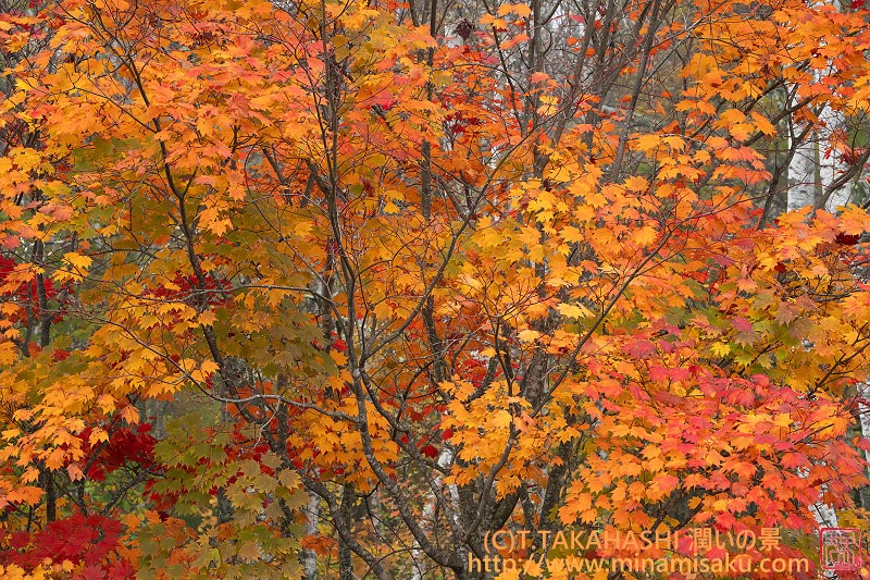 ../Images/7R251026 (317).jpg